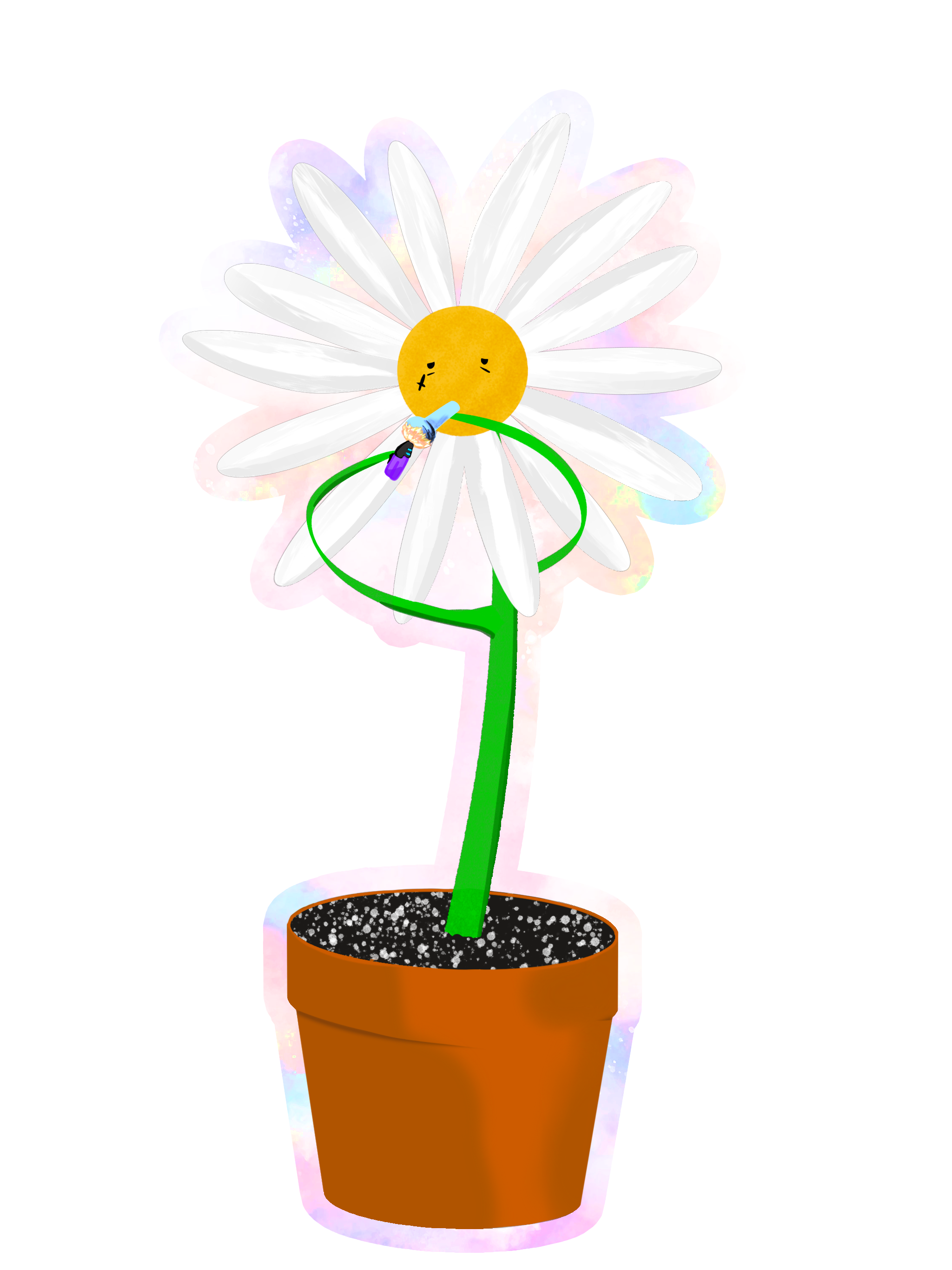 Daisy