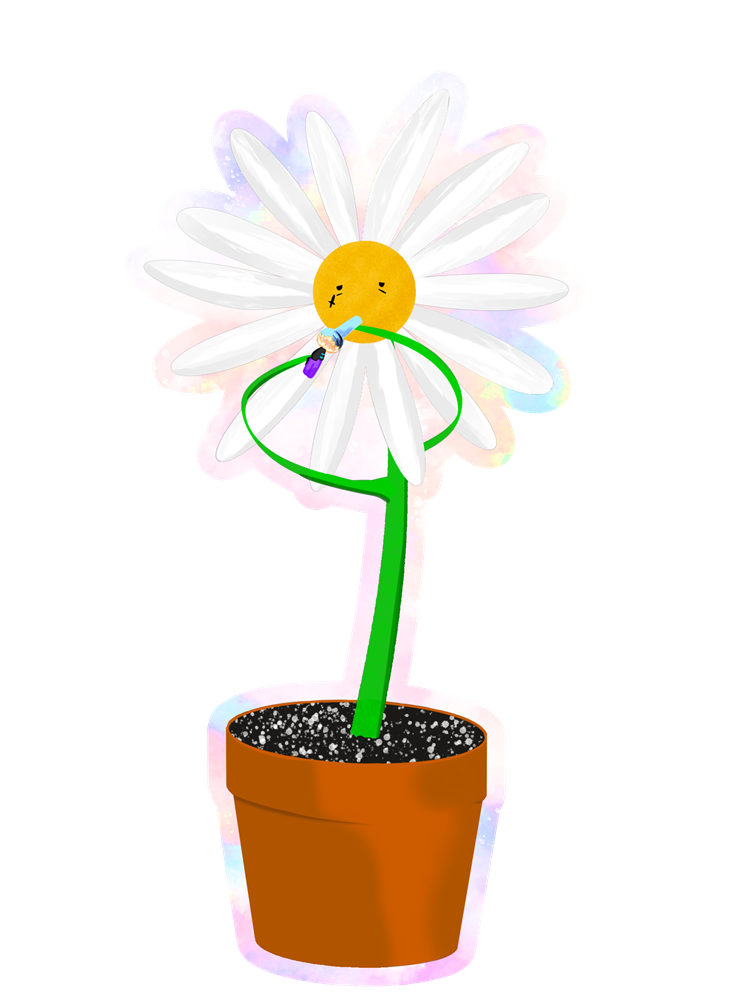 Daisy